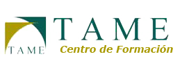 Plataforma Moodle TAME Plataforma Moodle TAME